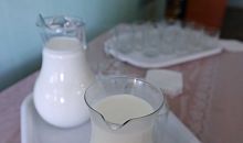 Челябинские эксперты советуют укреплять иммунитет молочными продуктами